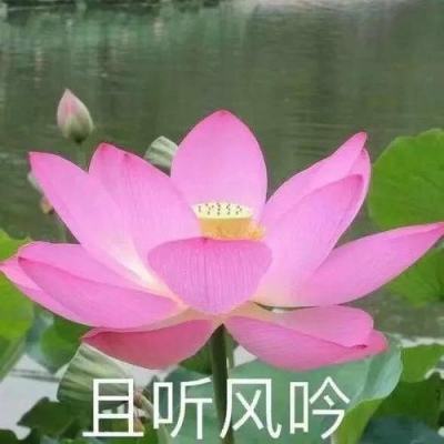 驻点笔记丨亲历台湾花莲地震：天灾无情人有情